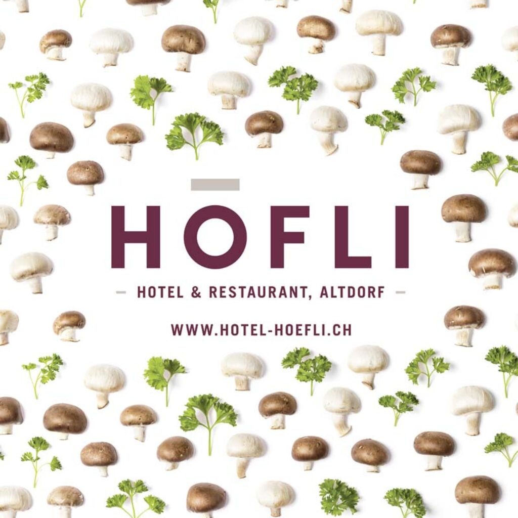 Hotel höfli1483880464 6829